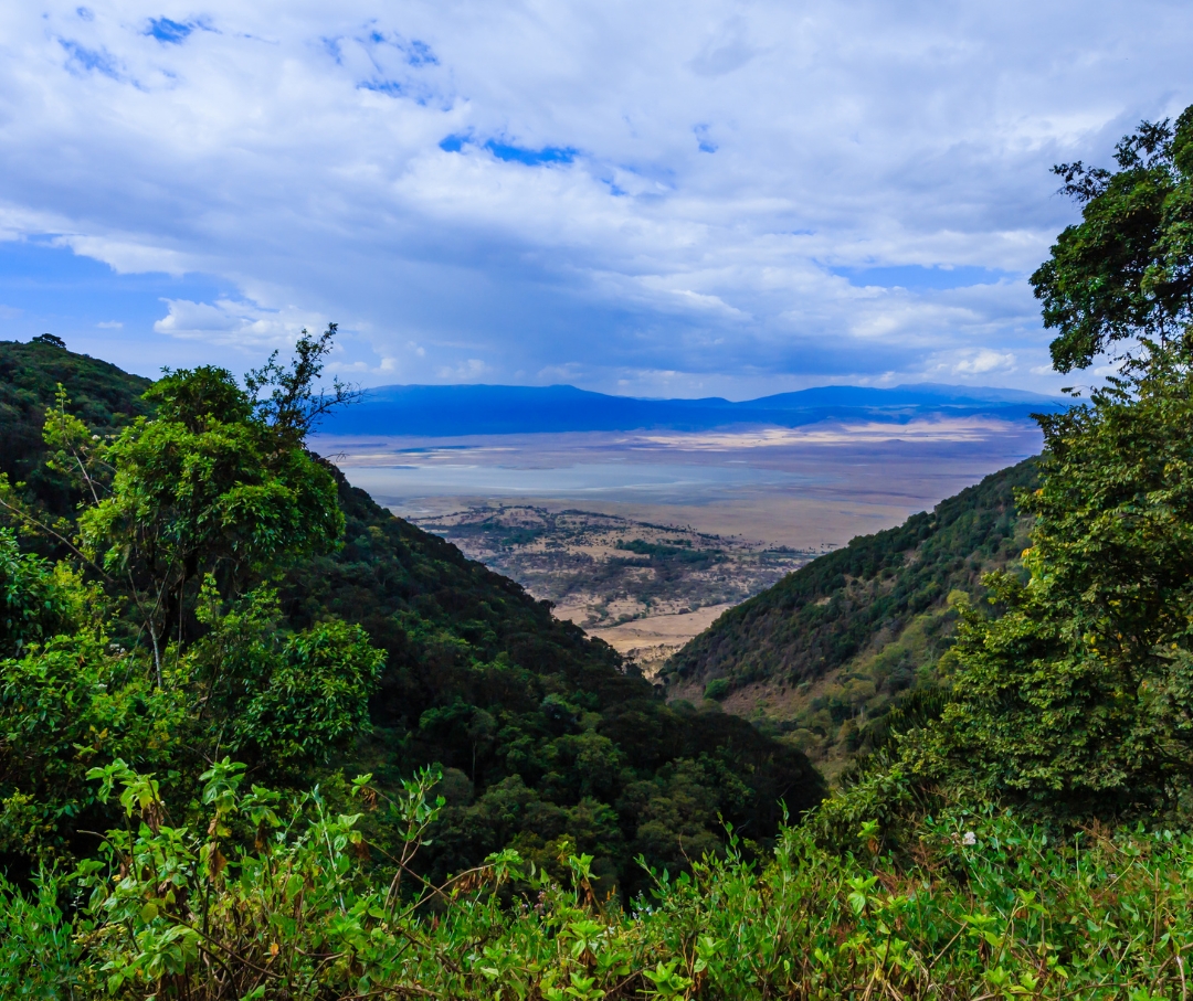 Ngorongoro Crater